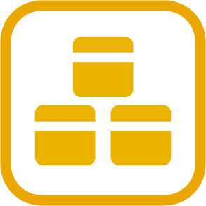 Systems Inventory icon